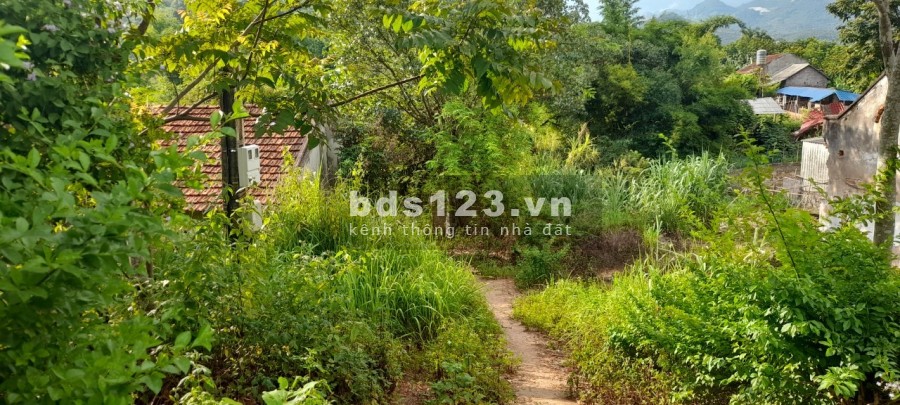 Bán lô đất hiếm tại Mường Sang- Mộc Châu tiềm năng sinh lời lớn, bàn giao sổ đầy đủ