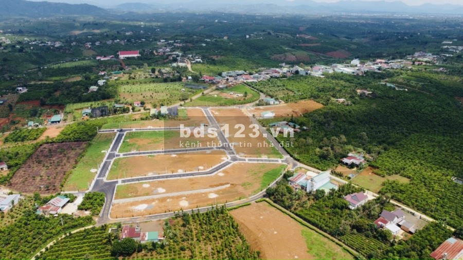 Đất nền nghỉ dưỡng liền ngay TP Bảo Lộc chỉ 775tr/nền full thổ LH 0978726139