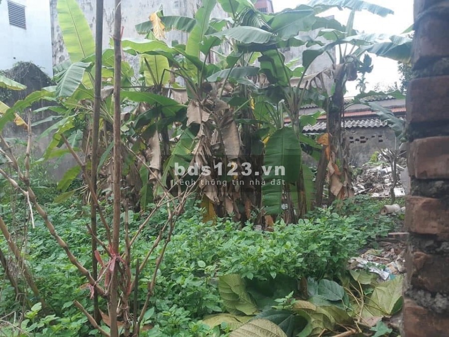 Hot Hot Cực hiếm Thông số vàng Phúc Lợi Long Biên 39m2 đất mt4.3m Ngõ Thông Ô tô hơn 1tỷ