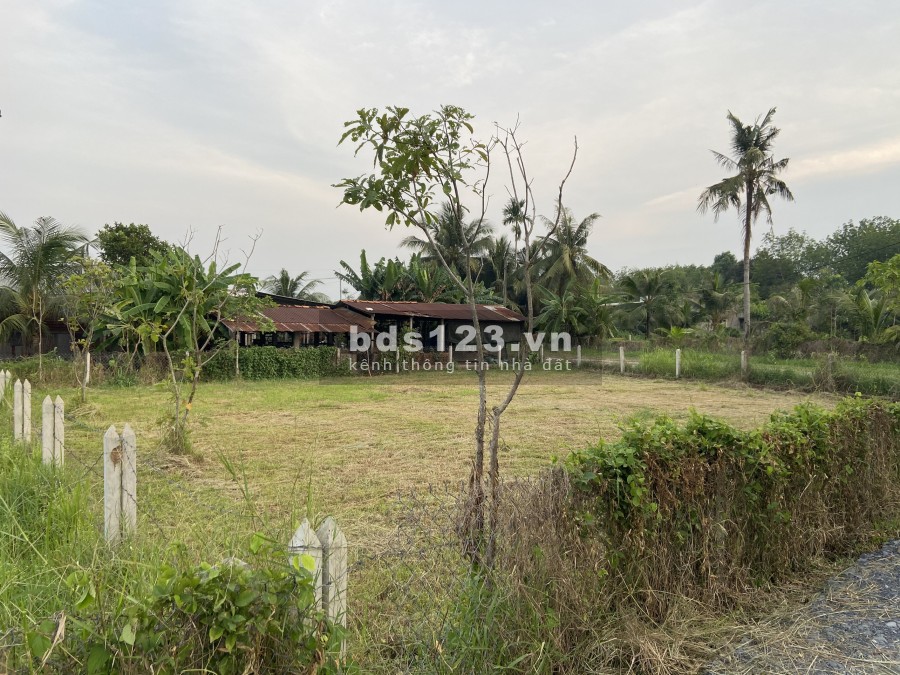 Đất vườn giá rẻ Củ Chi 517m2 1ty211 vuông vức SHR công chứng sang tên ngay