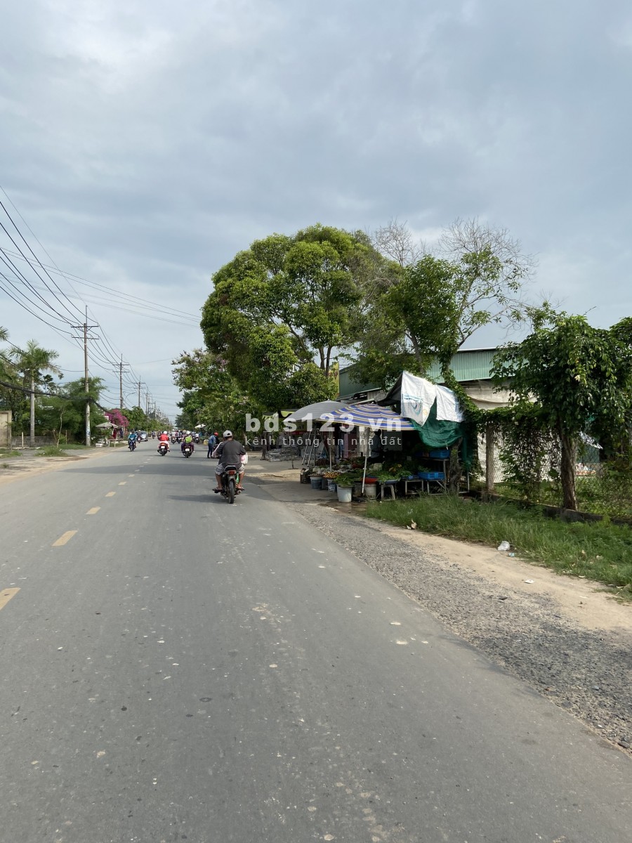 Đất vườn giá rẻ Củ Chi 517m2 1ty211 vuông vức SHR công chứng sang tên ngay