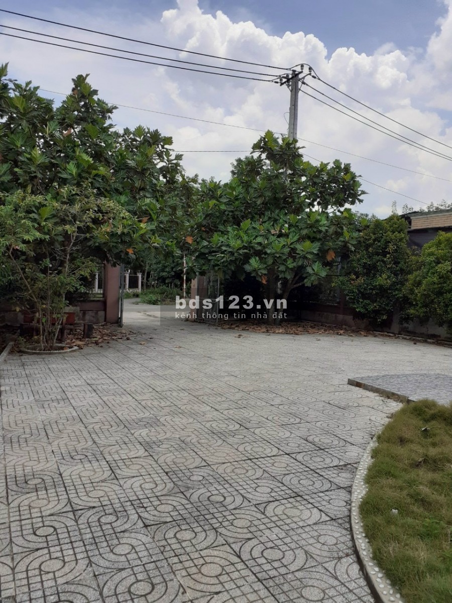 Cần bán nhà vườn mặt tiền đường An Nhơn Tây Củ Chi diện tích 1524m2 có 200 thổ cư