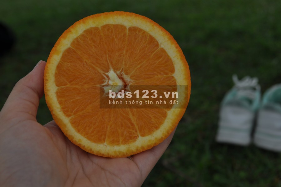 Bán lô đất Kim Hoa Mê Linh diện tích sử dụng 81m2 lh 0972434180, pháp lí đầy đủ chính chủ