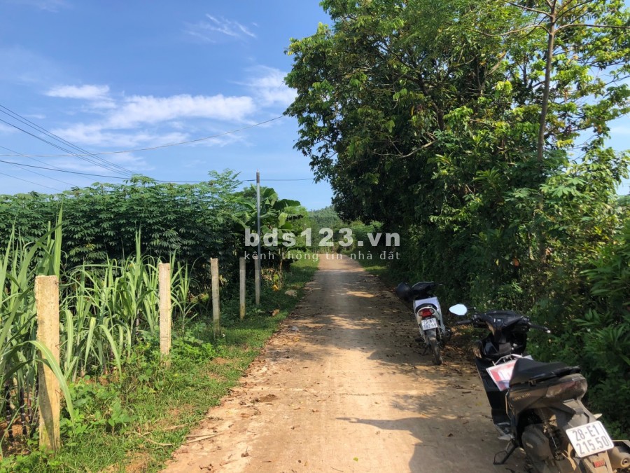 Chính chủ gửi bán 2768m2 nhà sàn, full Bưởi View thảo nguyên xanh bát ngát bao la