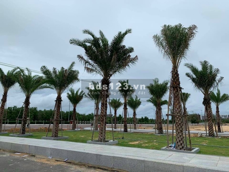 Nhơn Hội New City- Đất nền biển Quy Nhơn Siêu Hot, thanh toán linh hoạt, giá đầu tư sinh lời