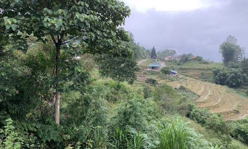 Đầu tư 1200m vị trí siêu đẹp tại Y Tý - Sapa2 giá đón đầu sóng, giá đầu tư sinh lời cao