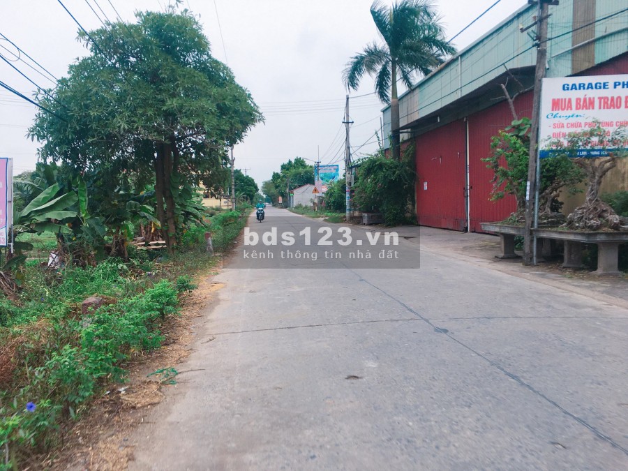 Cần bán đất Đình Dù, Diện tích lớn, 700m2, phù hợp cho ai xây biệt thự: lh 0835459289