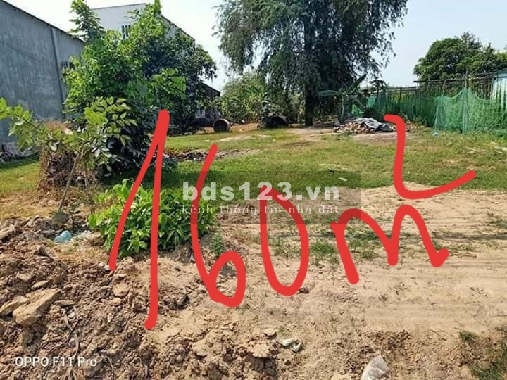 Đến hẹn trả nợ ngân hàng chủ cần đẩy nhanh trả nợ,…