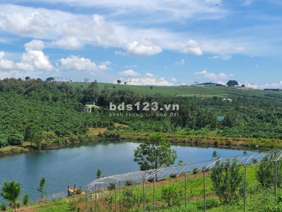 Bán lô đất diện tích 250m2 thổ cư Gia Lâm, Lâm Hà giá bán hỉ 650 Triệu, lh 0935434534