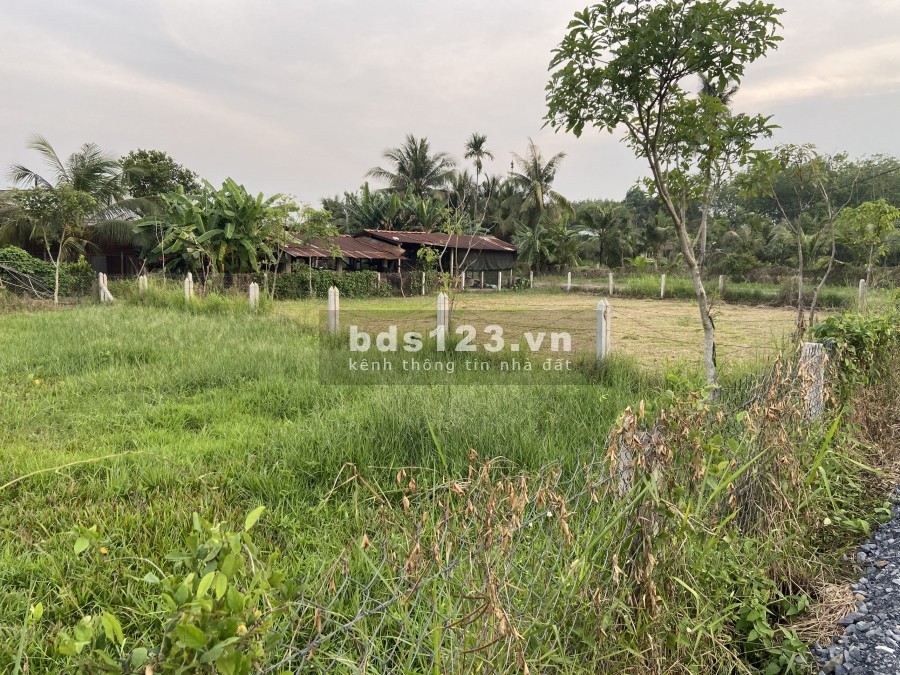 Đất vườn Củ Chi 2 lô liền kề diện tích sử dụng 1000m2 giá rẻ 2ty3 ngang 28 cực đẹp, SHR