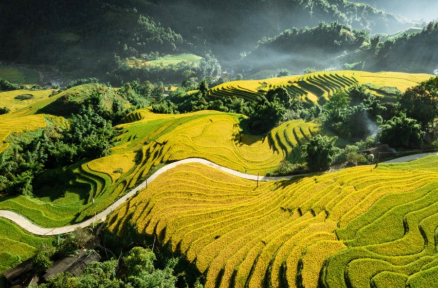 Bán 1500m2 đất Đông Sang Mộc Châu view bao trọn thị trấn, đất cam kết không dính quy hoạch