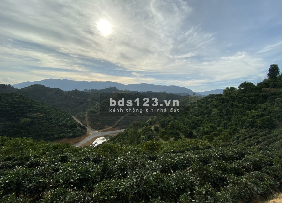 Bán lô đất thôn 10 Xã Đại Lào thành phố Bảo Lộc, ô tô con lên tới đỉnh, giá bán 488 triệu