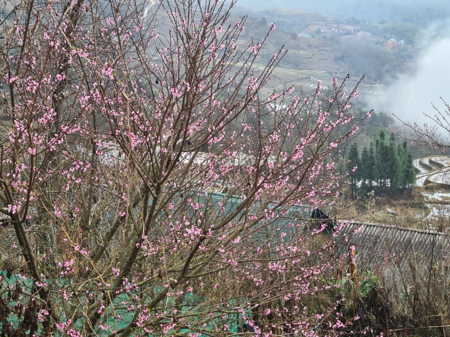 Bán Mảnh đất trung tâm Y Tý- View tuyệt đỉnh, tiện ích xung quanh đủ, khu dân cư đông
