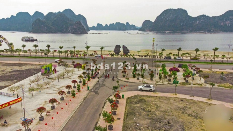 Bán lô đất dự án đất nền Green Dragon City, thanh toán nhanh chiết khấu cực lớn, giá đầu tư
