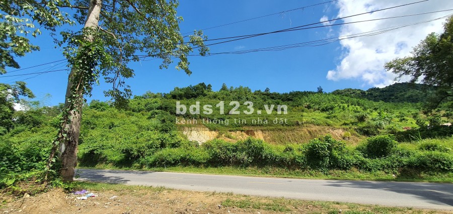 Bán nhanh hơn 1ha có 800m thổ cư, 2900m đất vườn, bám quốc lộ 12B hơn 100m, pháp lí chuẩn