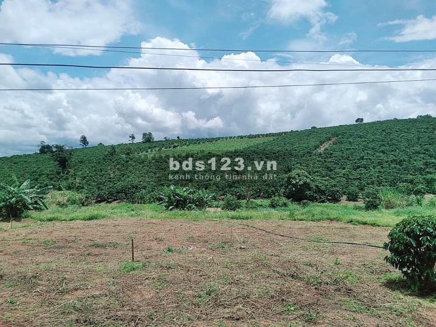 370m2 Đông Thanh, View Đồi, Cách Đà Lạt 25 Phút, Giá Chỉ 575 Triệu