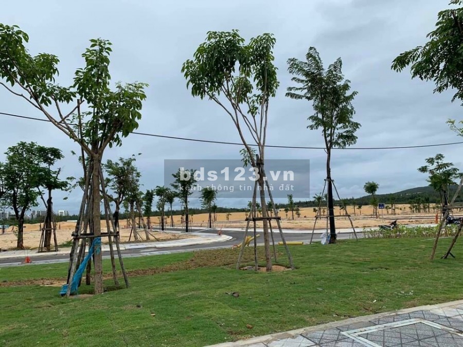 Đất nền Nhơn Hội New City- Điểm đến đáng tin cậy của Nhà Đầu Tư, pháp lý rõ ràng
