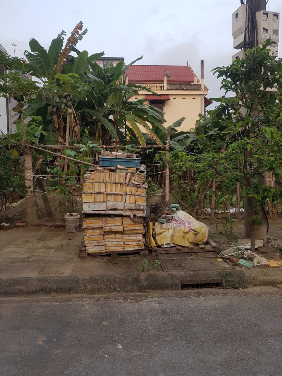 Bán lô đất khu Hoàng Mai - An Dương, vị trí đắc địa, diện tích 100m2, pháp lý đầy đủ