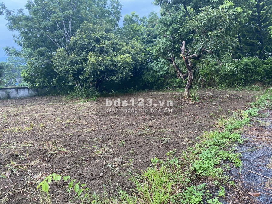 Cần bán 1009m2 view ruộng, nằm trong khu phân lô, giữa lòng biệt phủ tại Lương Sơn, 2,2tỷ