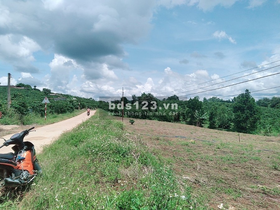 370m2 Đông Thanh, View Đồi, Cách Đà Lạt 25 Phút, Giá Chỉ 575 Triệu