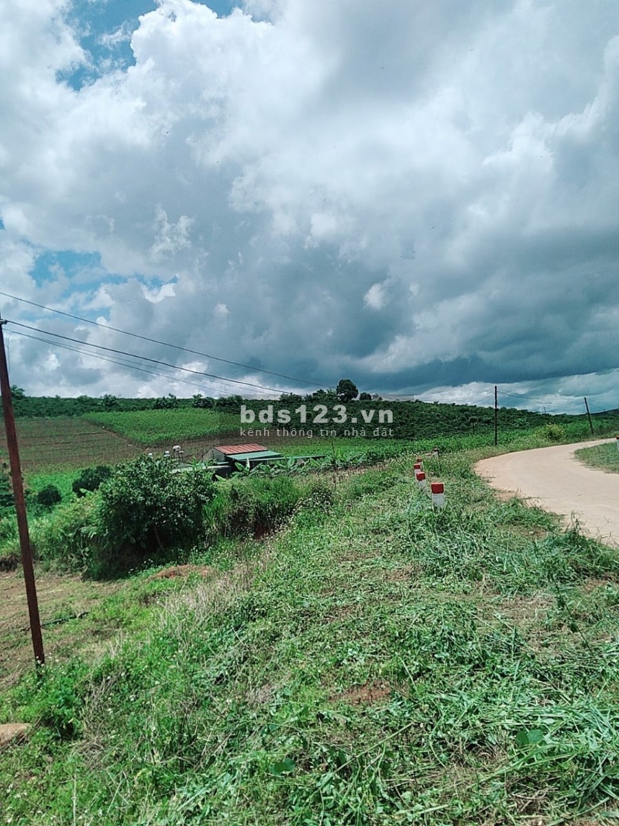 370m2 Đông Thanh, View Đồi, Cách Đà Lạt 25 Phút, Giá Chỉ 575 Triệu