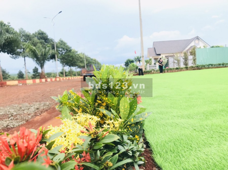 Bán đất Phú Riềng giá cả thấp ưu đãi khủng chỉ 400 triệu/nền, đầu tư sinh lời cao