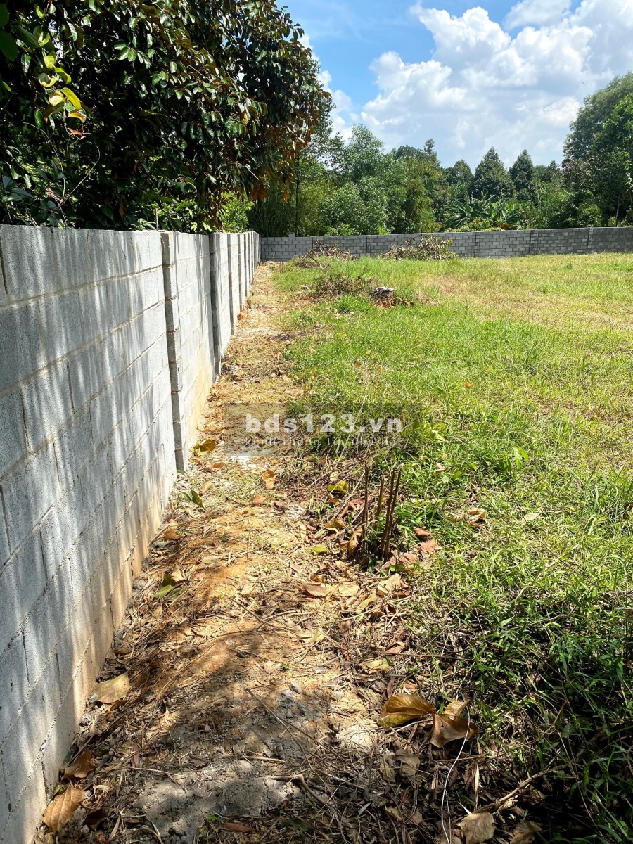 Đất mặt tiền đường nhựa 1/ Tỉnh Lộ 15 vào 200m xã Nhuận Đức 36x41 600 thổ cư