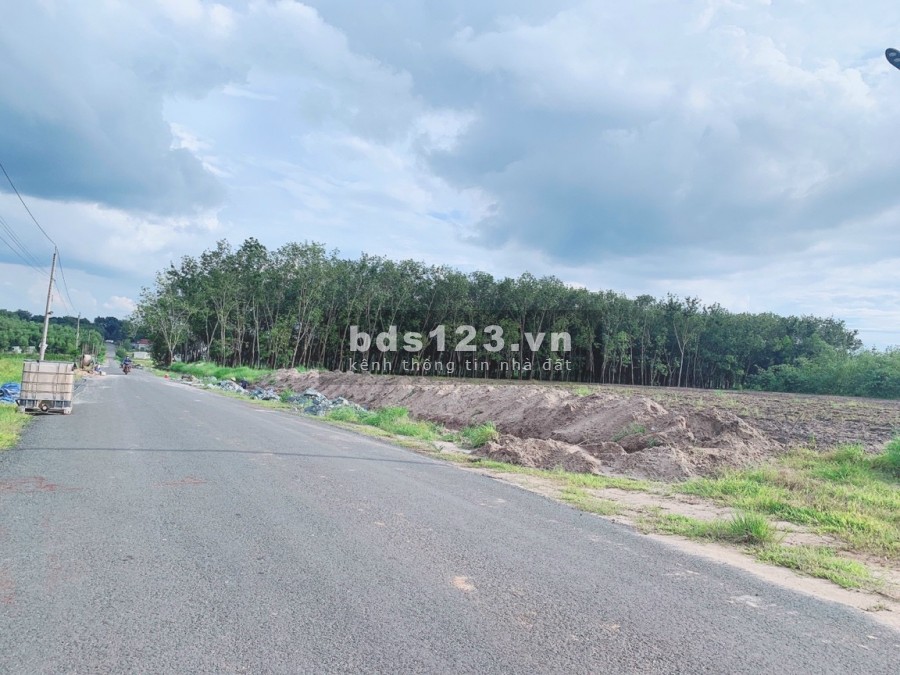 Bán lô đất vành đai Becamex, mặt tiền nhựa đường 40, liên hệ xem đất 0979089052