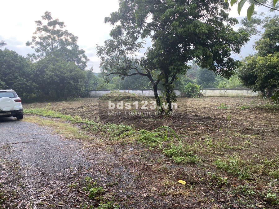Cần bán 1009m2 view ruộng, nằm trong khu phân lô, giữa lòng biệt phủ tại Lương Sơn, 2,2tỷ