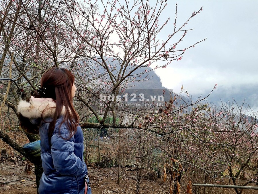 Lô đất Sa Pa 2 khai thác du lịch dịch vụ view thung lũng, Săn Mây mộng mơ, cafe Thiên Đường Y Tý