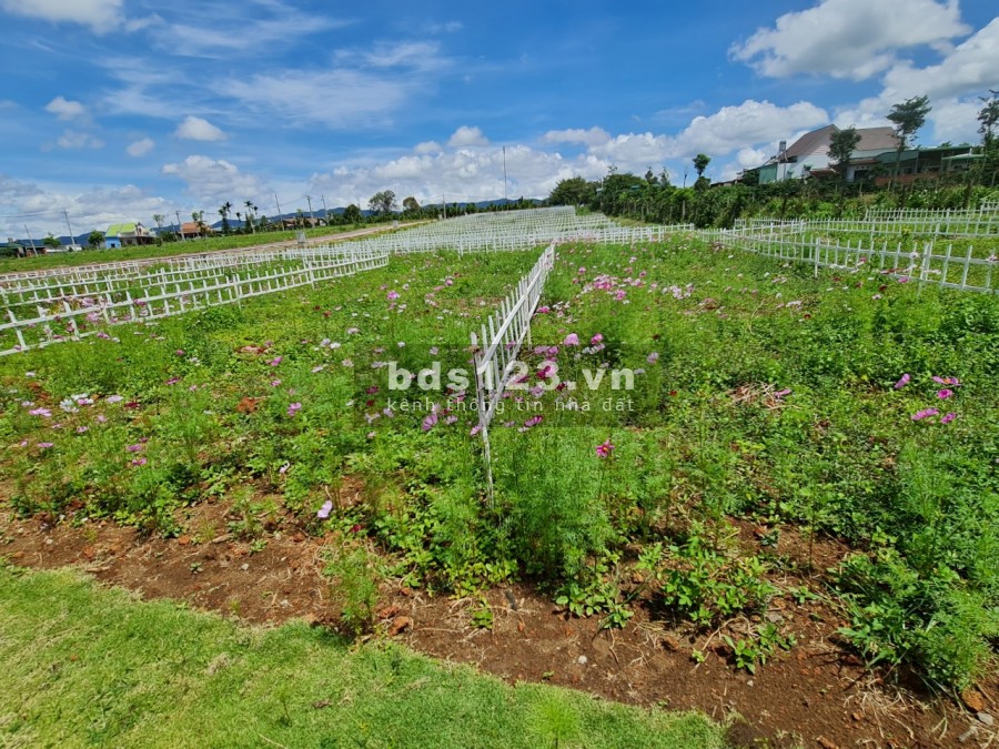 Đất nền nghĩ dưỡng, diện tích 300m2 Chỉ 700tr sổ hồng có thổ cư cách UBND Xã 700m