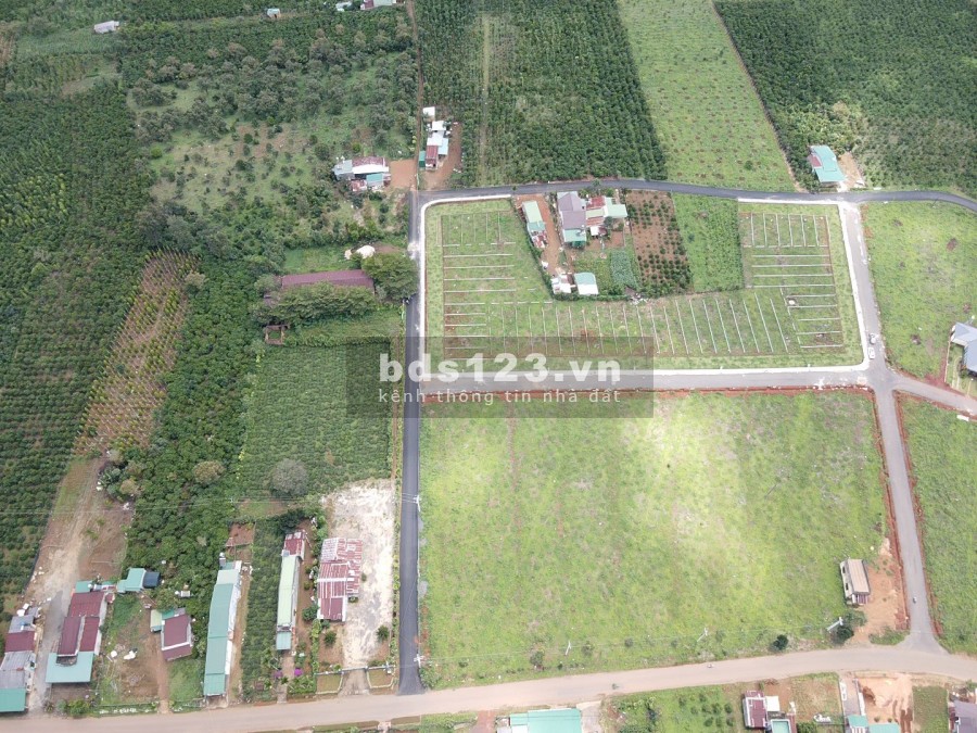 Bán đất giá chỉ 700 triệu/nền đất, Cơ hội cho các nhà đầu tư lãi xuất cực cao sau mùa dịch