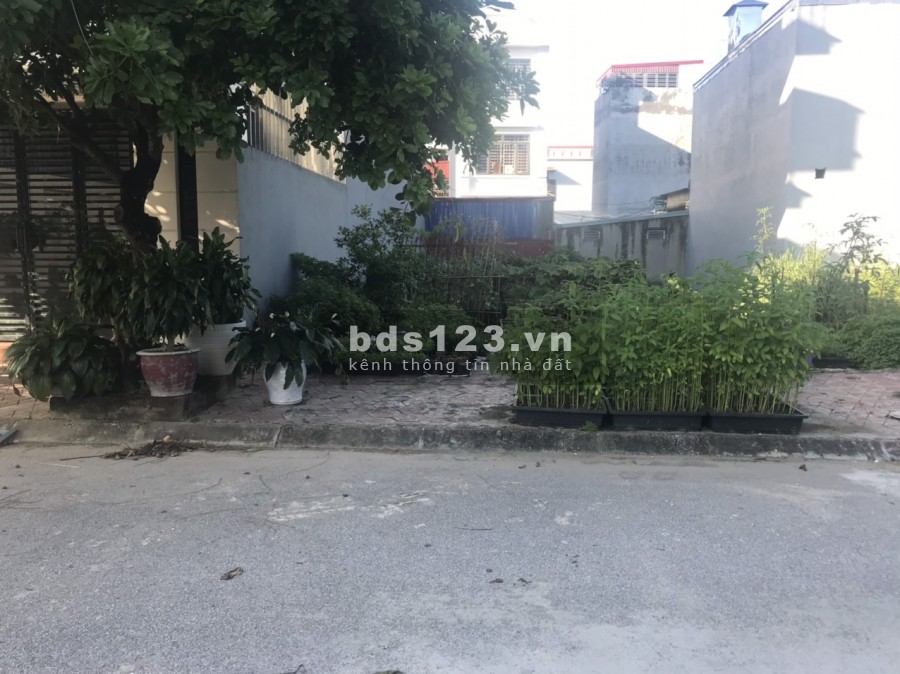 Chính chủ cần bán lô đất tái định cư Bắc Cầu, Hải An, Hải Phòng, liên hệ 0937312686