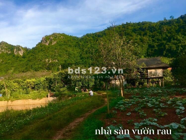 Sở hữu ngay một mảnh đất sẵn vườn rau ao cá,view đẳng cấp ,chỉ có ở Đà Lạt 2 miền Bắc
