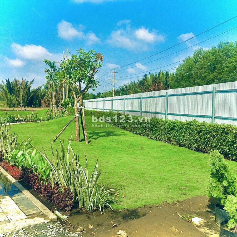 Nhà Bán Cần Giuộc, SHR, Lợi Nhuận Cho Thuê Lại 180tr/ Năm,Phong Thủy Tốt