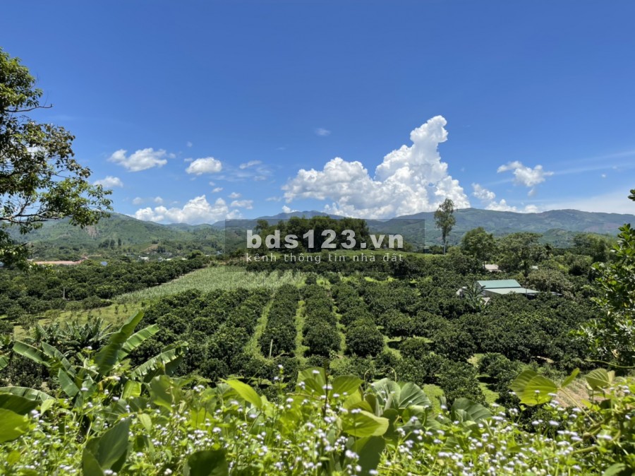 Bán đất trang trại, nghỉ dường tại Đông Lai, Tân Lạc Hoà Bình, tổn diện tích 15000m, có 400m2 ONT