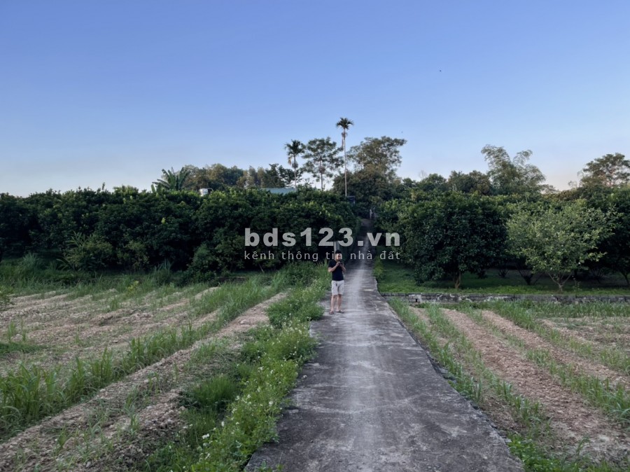Bán đất trang trại, nghỉ dường tại Đông Lai, Tân Lạc Hoà Bình, tổn diện tích 15000m, có 400m2 ONT