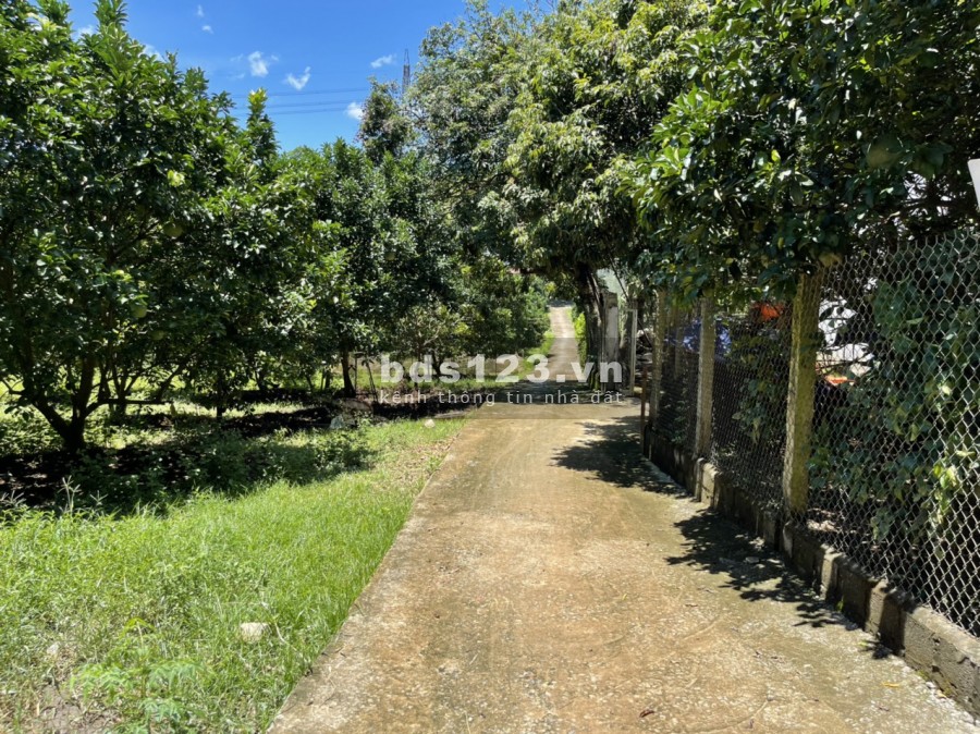 Bán đất trang trại, nghỉ dường tại Đông Lai, Tân Lạc Hoà Bình, tổn diện tích 15000m, có 400m2 ONT