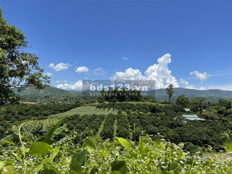 Bán đất trang trại, nghỉ dường tại Đông Lai, Tân Lạc Hoà Bình, tổn diện tích 15000m, có 400m2 ONT
