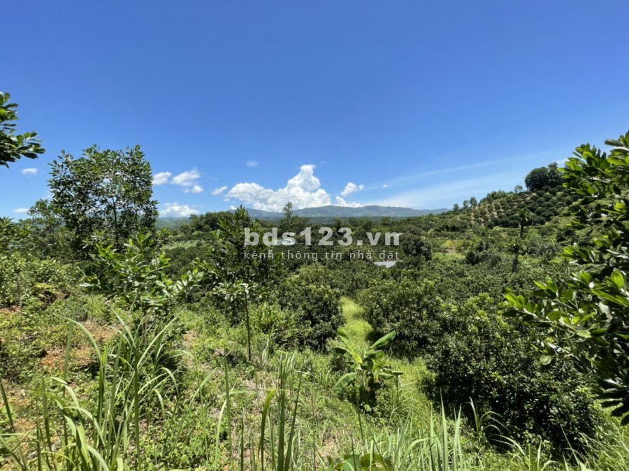 Bán đất trang trại, nghỉ dường tại Đông Lai, Tân Lạc Hoà Bình, tổn diện tích 15000m, có 400m2 ONT