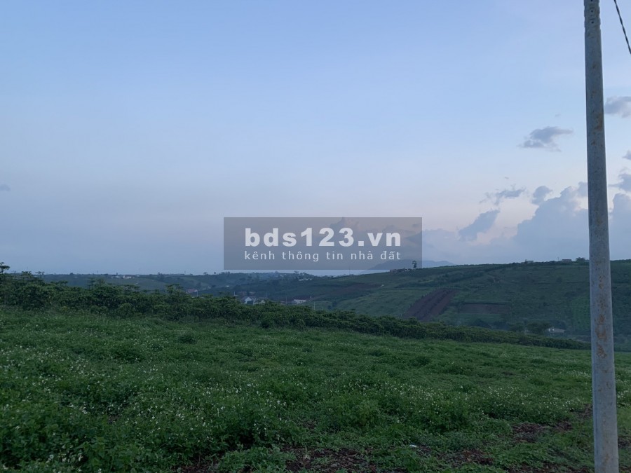 Bán đất đường Lý Thái Tổ dt 6x31m, ngay khu dân cư, giá đầu tư, liên hệ 0785153616