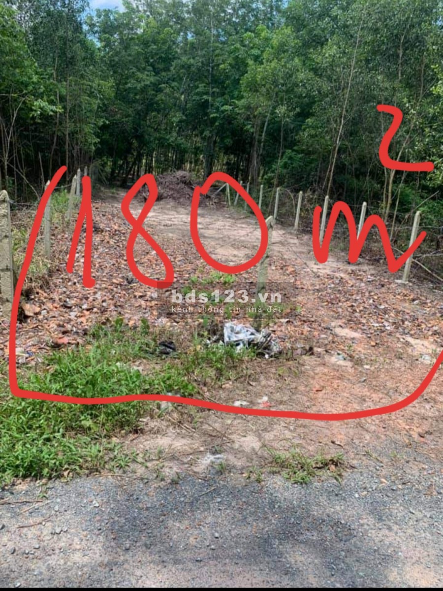 Dịch ảnh hưởng không làm ăn được chủ gửi bán trả nợ. Hẻm xe tải
