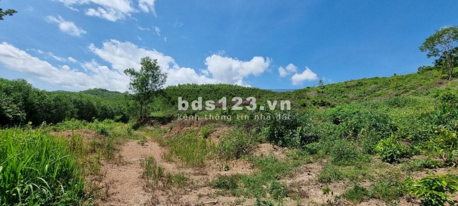 Bán đất gần cụm Công Nghiệp Sông Cầu giá chỉ 53k/m2 rộng 10ha LH 0788.558.552