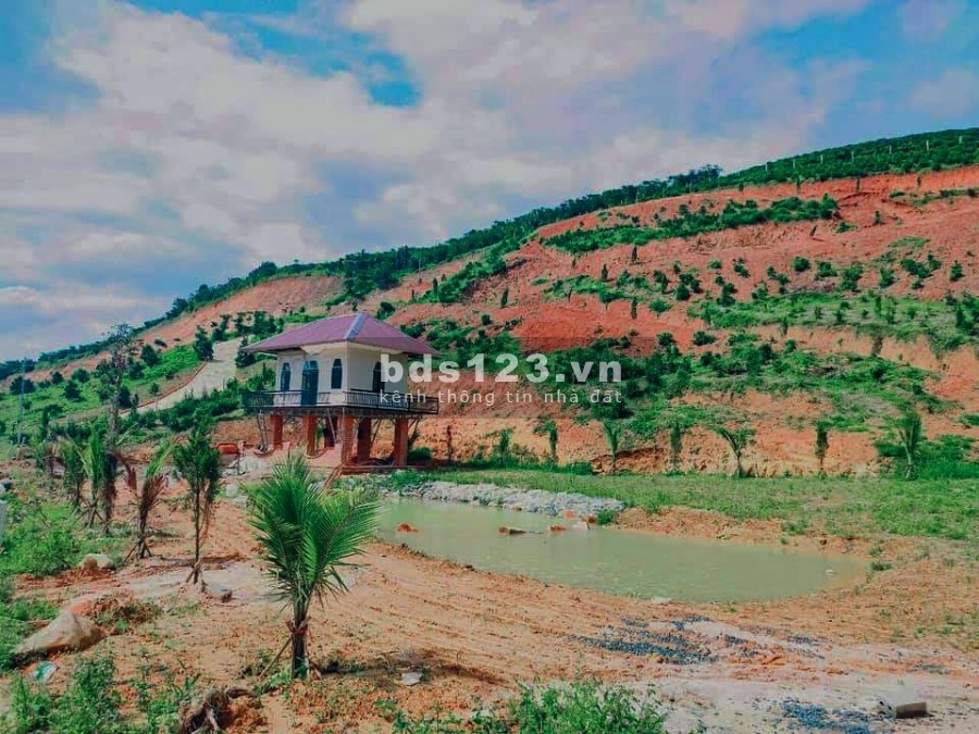 Nhà nghỉ dưỡng thanh bình yên tĩnh mát mẻ liên hệ 0784171416 tiện ích xung quanh đủ