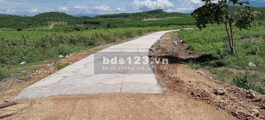 Bán đất gần cụm Công Nghiệp Sông Cầu giá chỉ 53k/m2 rộng 10ha LH 0788.558.552