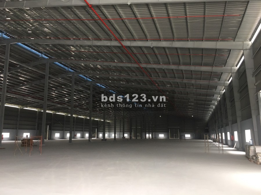Cho thuê xưởng 14000m2 trong khu công nghiệp Mỹ Phước - Bình Dương