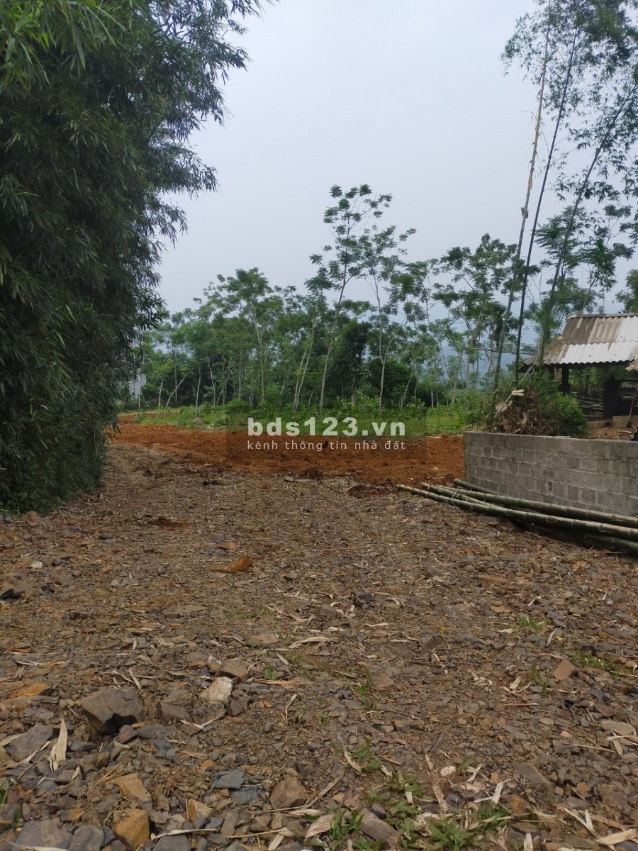 Bán đất Tân Lạc -Hoà Bình dt 3200m có 400 tc,view bao quát đèo đá trắng thung khe