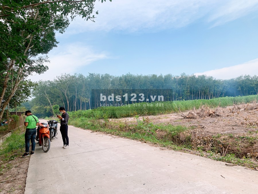Bán lô đất nhánh đường lớn Cao Bá Quát đang lên nhựa, gần Kcn Minh Hưng 3, lh 0979089052