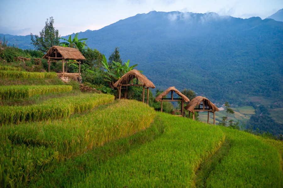 Mảnh đất siêu tiềm năng gần trung tâm Y Tý - Sapa2, thuộc quy hoạch đất ở làng xóm, giá tốt