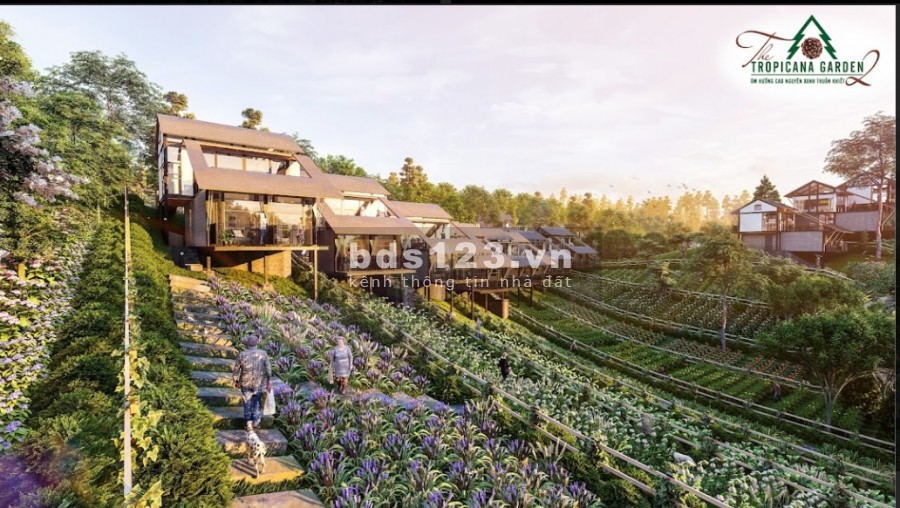 Khu biệt thự nghỉ dưỡng Troppicana Garden 2 tận hưởng cuộc sống thư giãn tại vùng cao nguyên